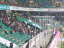 VfL Wolfsburg - VfL Bochum - photo